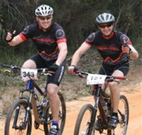 Trailhead Bike Co. - Attractions Brisbane