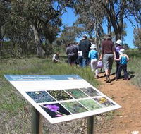 South Gundagai Woodlands Walk - Attractions Brisbane