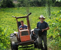 Kellybrook Winery Kelly Brothers Cider  Riders Brew Co.
