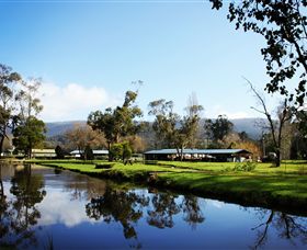 Buxton Trout & Salmon Farm - Attractions Brisbane 0