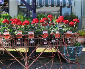 Van Loon's Nursery - Attractions Brisbane 0