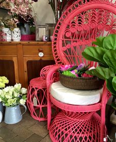 Van Loon's Nursery - Attractions Brisbane 3