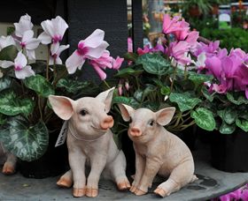 Van Loon's Nursery - Attractions Brisbane 2