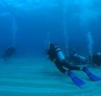 Man and Wife Rocks Dive Site - Attractions Brisbane