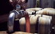 Punt Road Winery - thumb 2