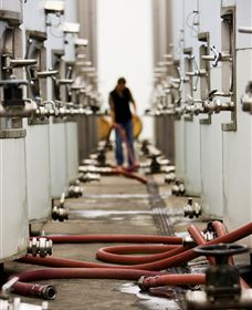 Punt Road Winery - Attractions Brisbane 5