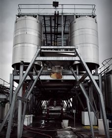 Punt Road Winery - Attractions Brisbane 8