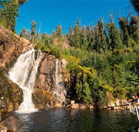 Steavenson Falls Marysville - Attractions Brisbane