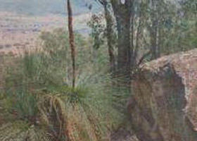 Burrowye VIC Attractions Brisbane