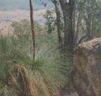 Mount Lawson State Park - Attractions Brisbane