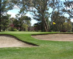 Bathurst Golf Club - Attractions Brisbane 1
