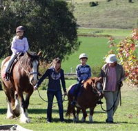 Bathurst Farm Experience - Attractions Brisbane
