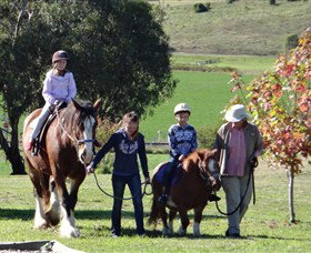 Bathurst Farm Experience - Attractions Brisbane 0