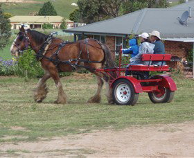 Bathurst Farm Experience - Attractions Brisbane 3