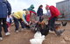 Bathurst Farm Experience - thumb 2