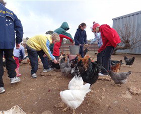 Bathurst Farm Experience - Attractions Brisbane 2
