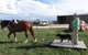 Bathurst Farm Experience - thumb 7