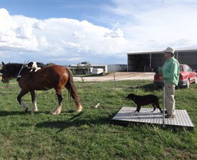 Bathurst Farm Experience - Attractions Brisbane 7