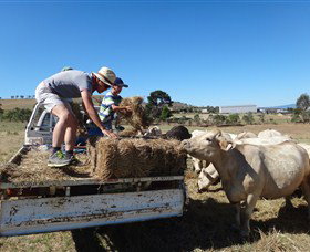 Bathurst Farm Experience - Attractions Brisbane 5