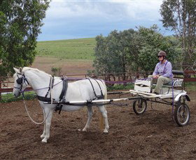 Bathurst Farm Experience - Attractions Brisbane 8