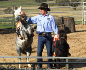 Boggy Creek Shows - Attractions Brisbane 2