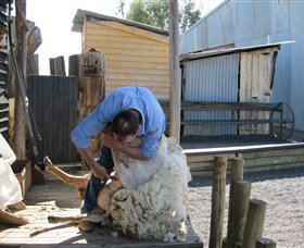 Boggy Creek Shows - Attractions Brisbane 4