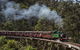 Puffing Billy Steam Railway - thumb 0