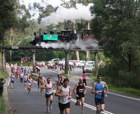 Puffing Billy Steam Railway - Attractions Brisbane 7