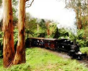 Puffing Billy Steam Railway - Attractions Brisbane 5