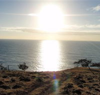 Southend Curtis Island - Attractions Brisbane