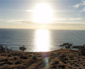 Southend Curtis Island - Attractions Brisbane 0