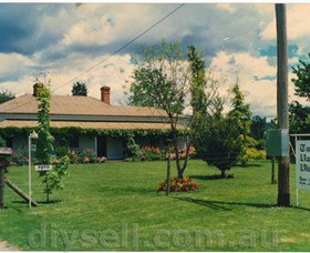 Tumut Valley Violets - Attractions Brisbane 0