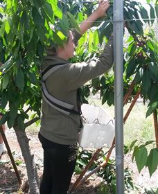 Mouat's Farm - Attractions Brisbane 4