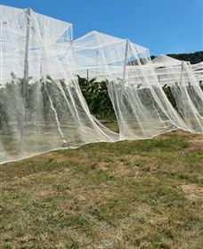 Mouat's Farm - Attractions Brisbane 5
