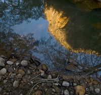 Abercrombie Karst Conservation Reserve - Attractions Brisbane