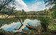 Warrabah National Park - thumb 0