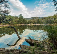 Warrabah National Park - Attractions Brisbane