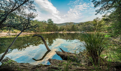 Warrabah National Park - Attractions Brisbane 0