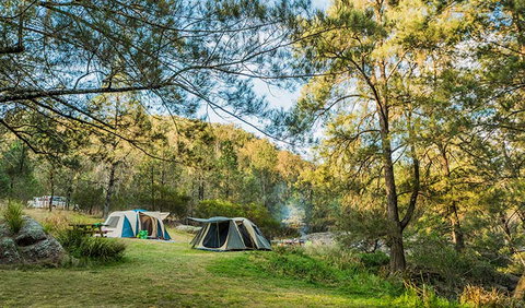 Warrabah National Park - Attractions Brisbane 1
