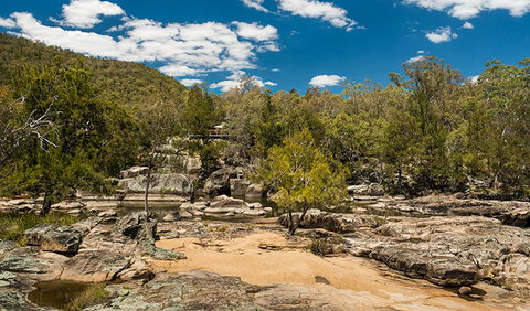 Warrabah National Park - Attractions Brisbane 3