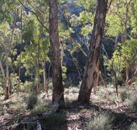 Mount Gray walking track - Attractions Brisbane