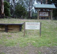 Shelley Forest Camp - Attractions Brisbane
