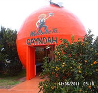 Gayndahs Big Orange - Attractions Brisbane