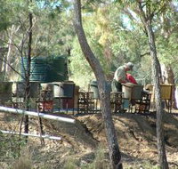 7 Oaks Sapphire Fossicking - Attractions Brisbane