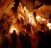 Careys Cave - Attractions Brisbane