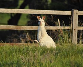 Panorama Garden Estate - Attractions Brisbane 0