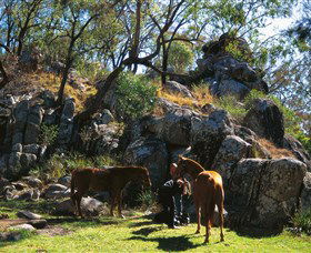  Attractions Brisbane