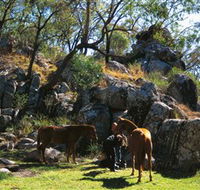 Coomba Falls - Attractions Brisbane