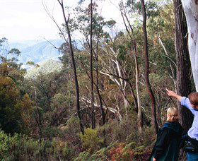 Hume And Hovell Walking Track - Attractions Brisbane 5