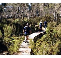 Hume and Hovell Walking Track - Henry Angel Trackhead - Attractions Brisbane